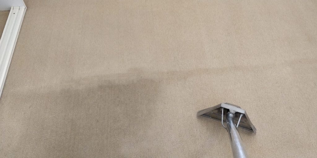 Carpet Cleaning Bracken Ridge