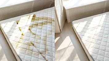 Mattress-Cleaning-Brisbane_Nextway