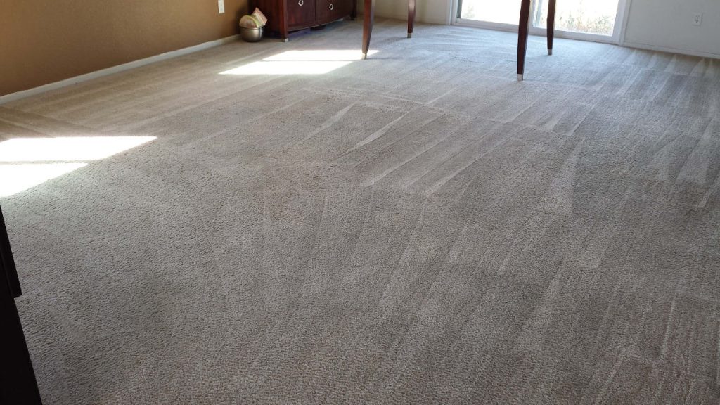 Commercial Carpet Cleaning Murrumba Downs