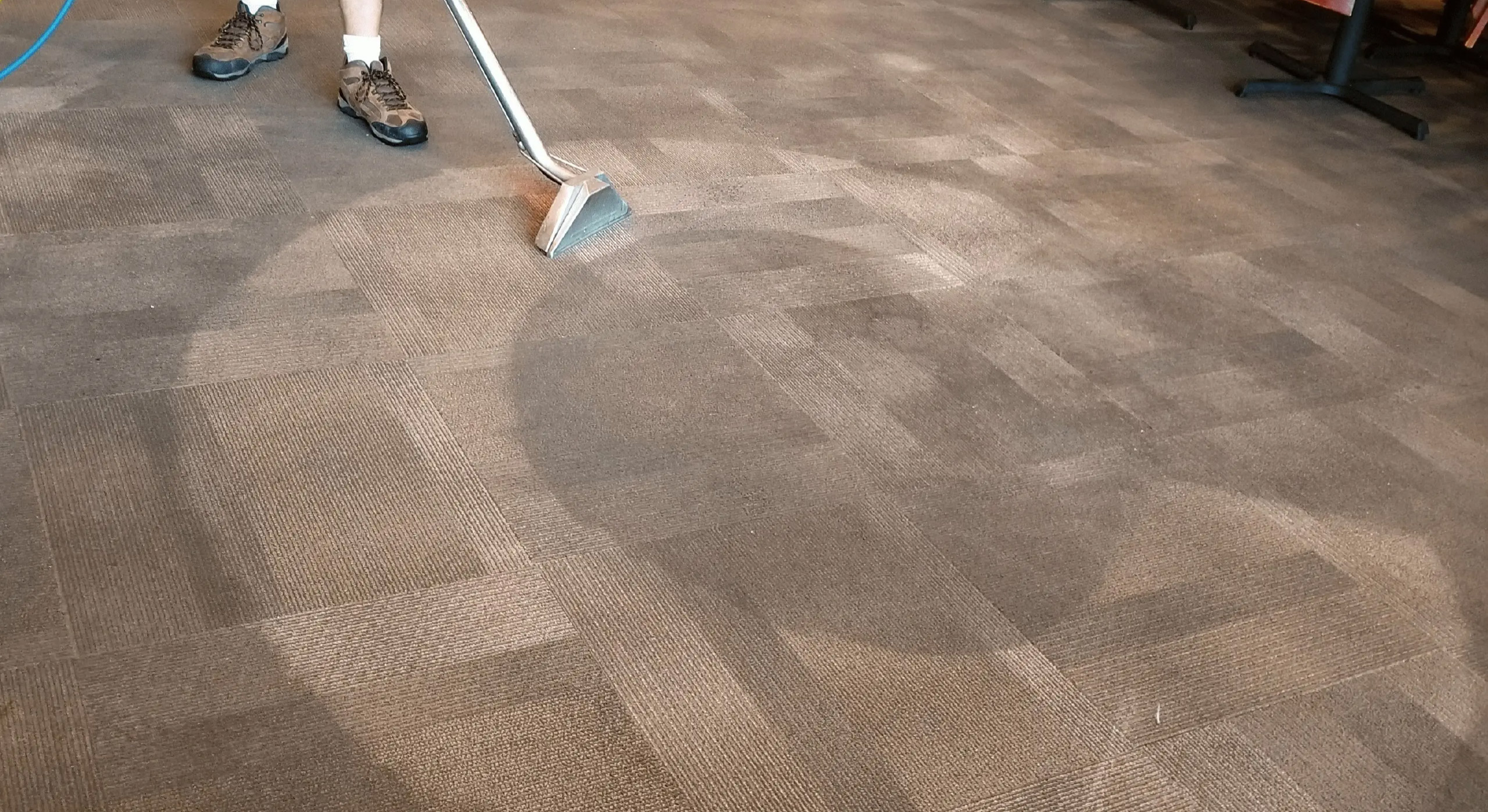 Remarkable Changes after a Professional Carpet Cleaning Job