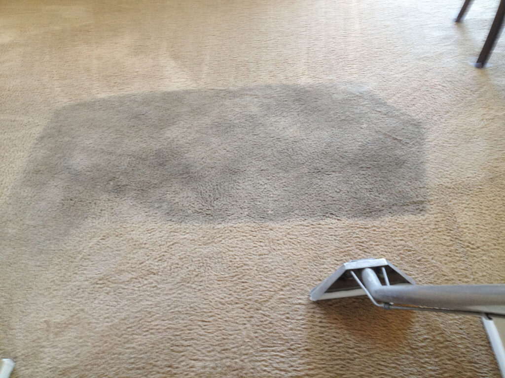 Is Professional Carpet Cleaning Worth the Money? - BCCPC Brisbane