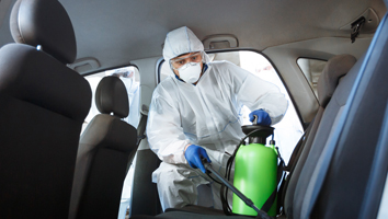 Car Pest Control Brisbane